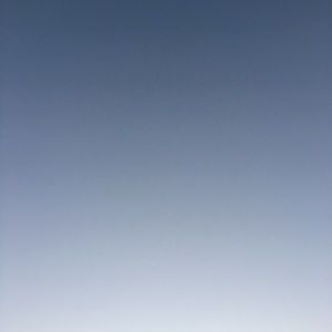 Meet your Posher, Bailey